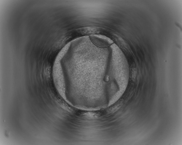 X0000097880326200804041619