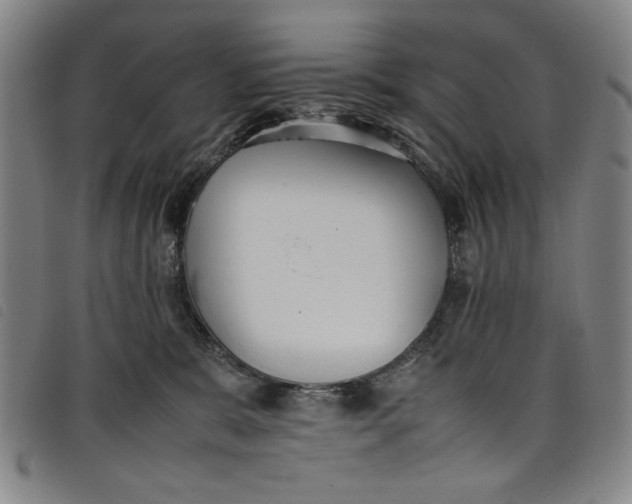 X0000097880327200804041619