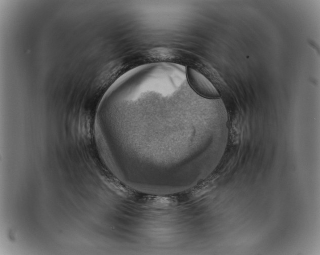 X0000097880330200804041619