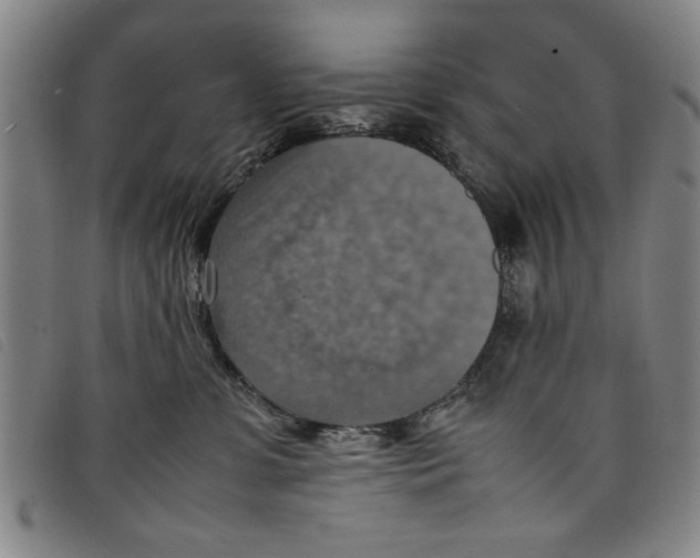 X0000097880331200804041619