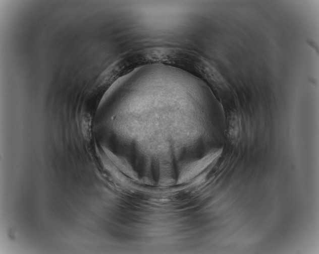 X0000097880332200804041619