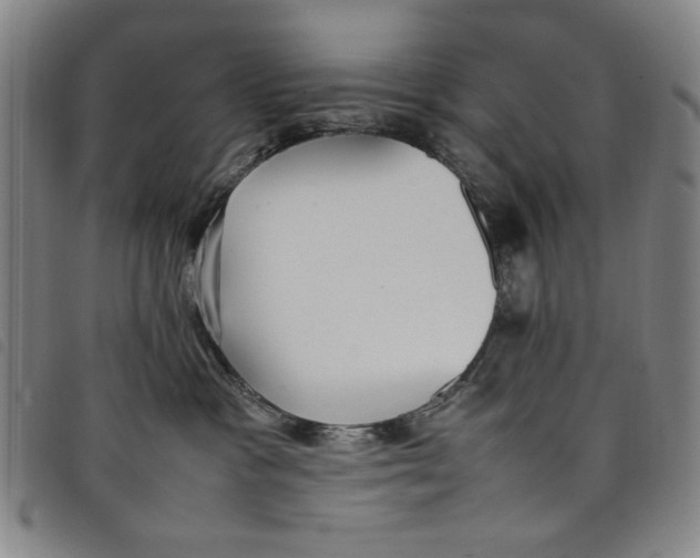 X0000097880333200804041619