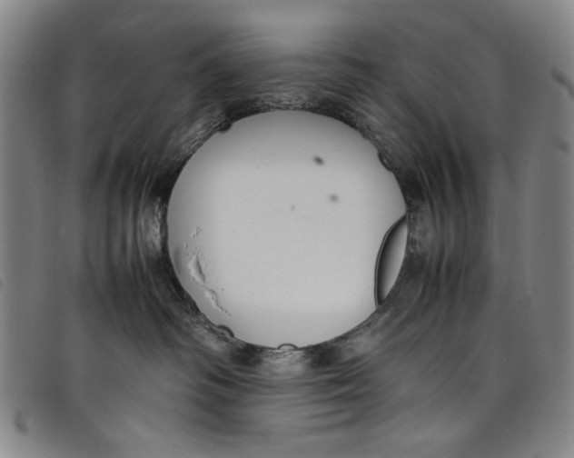 X0000097880334200804041619