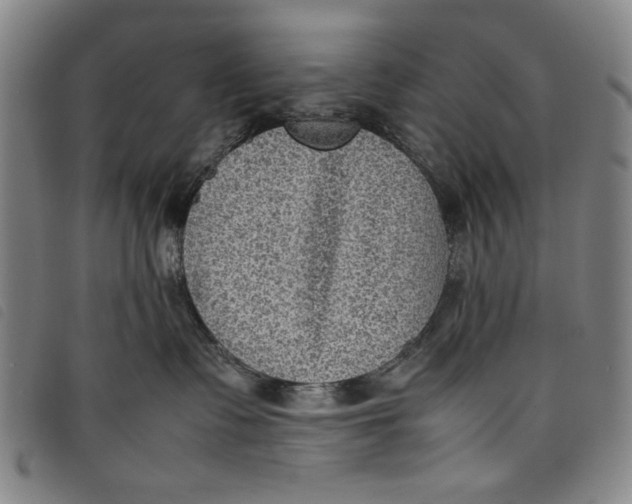 X0000097880335200804041619