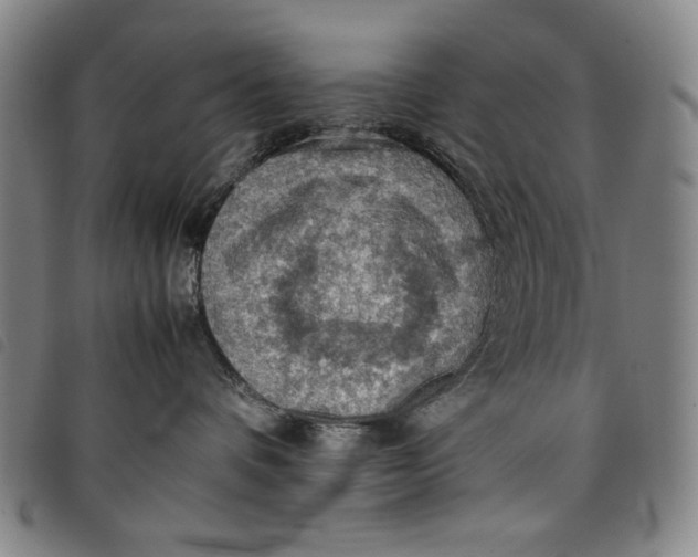 X0000097880336200804041619