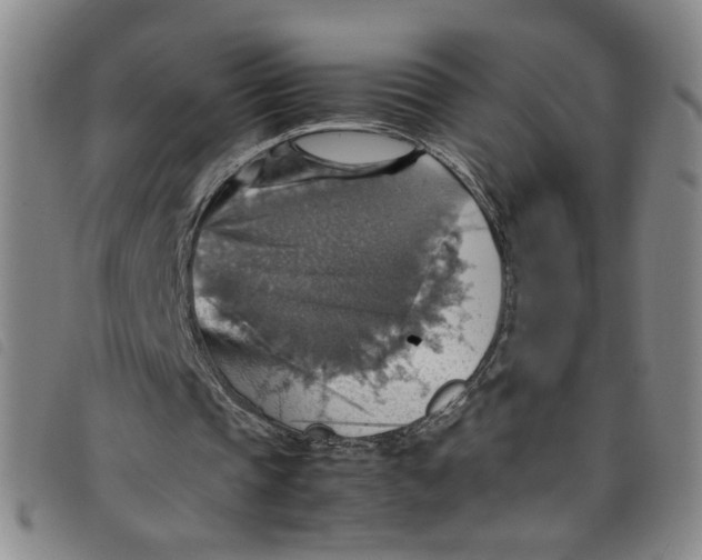 X0000097880337200804041619