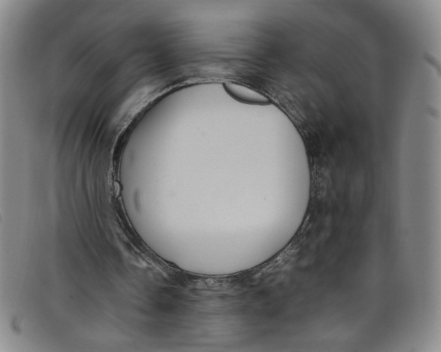 X0000097880338200804041619