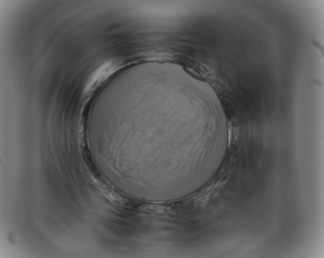 X0000097880339200804041619