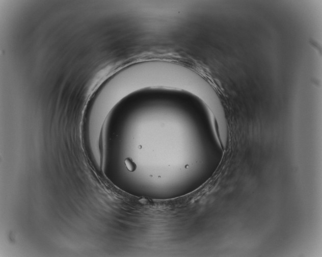 X0000097880340200804041619