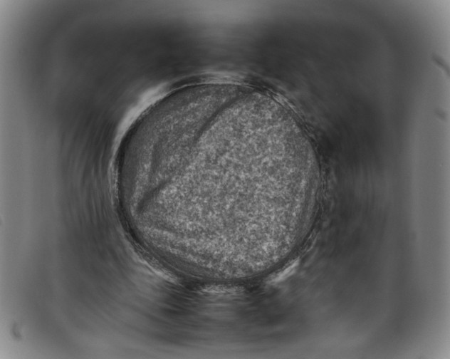 X0000097880343200804041619