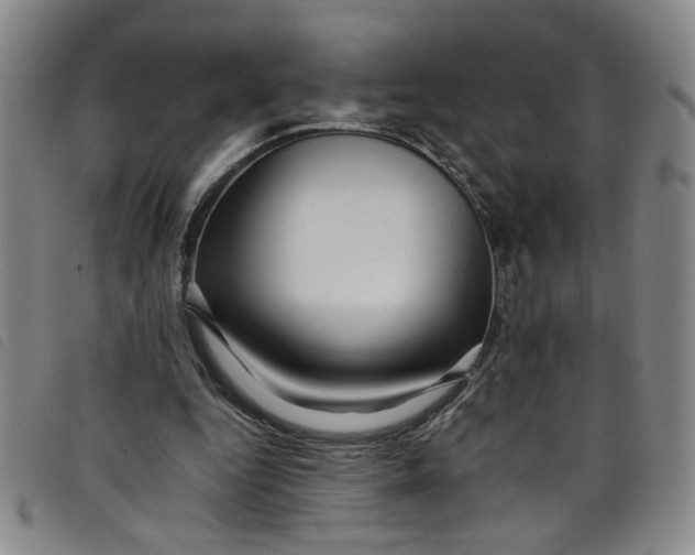 X0000097880344200804041619