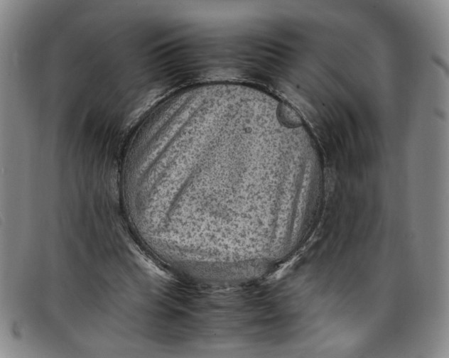 X0000097880345200804041619