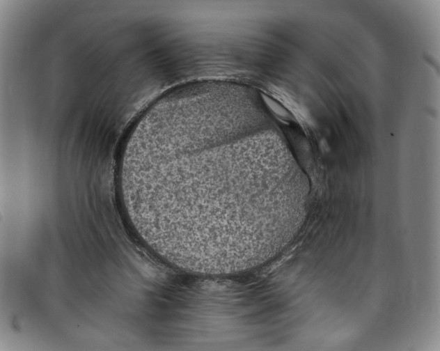 X0000097880346200804041619