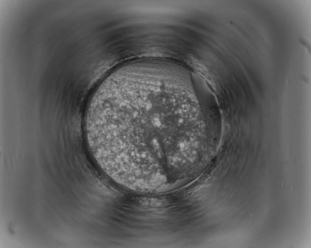 X0000097880347200804041619