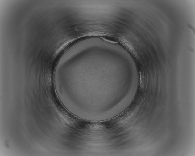 X0000097880348200804041619