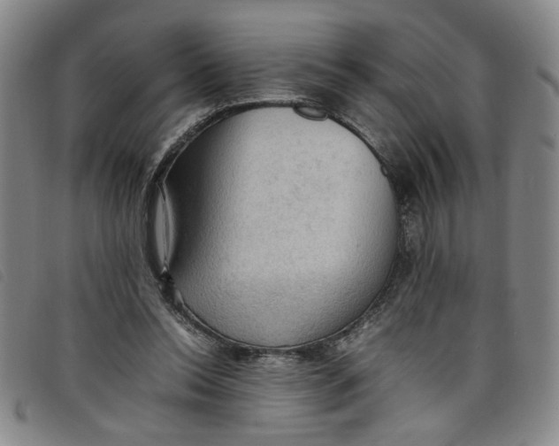 X0000097880350200804041619