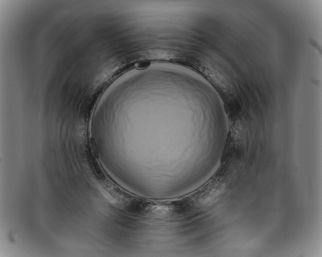 X0000097880352200804041619