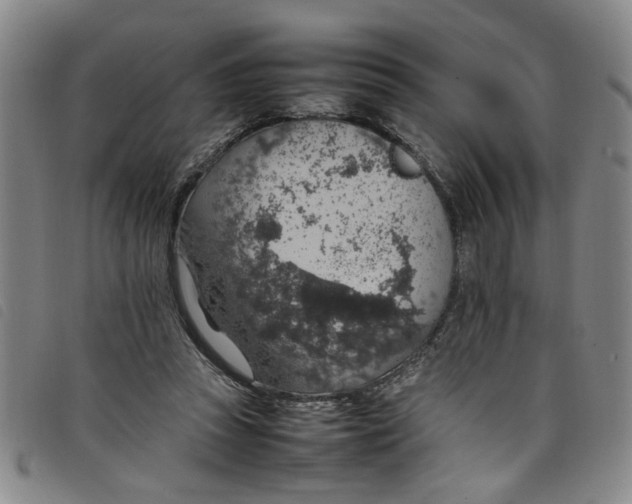 X0000097880353200804041619