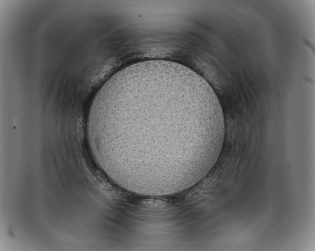 X0000097880354200804041619