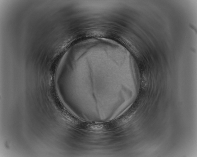 X0000097880355200804041619