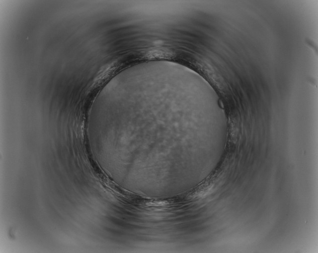 X0000097880357200804041619