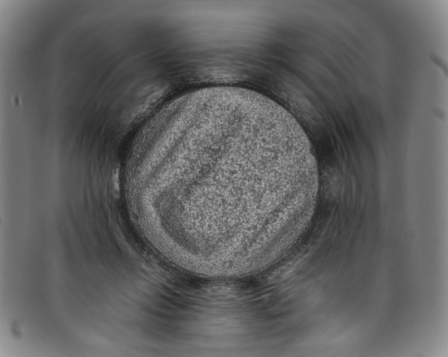 X0000097880358200804041619