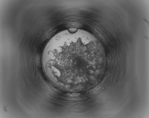 X0000097880359200804041619