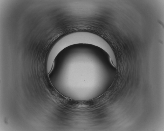 X0000097880360200804041619