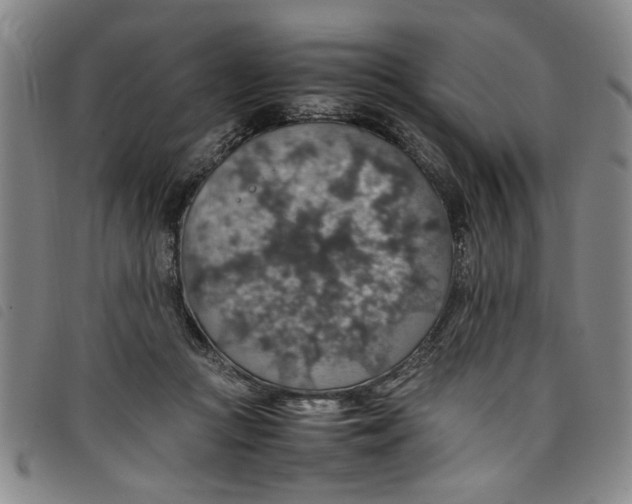 X0000097880361200804041619