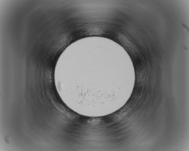 X0000097880362200804041619