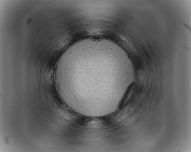 X0000097880364200804041619