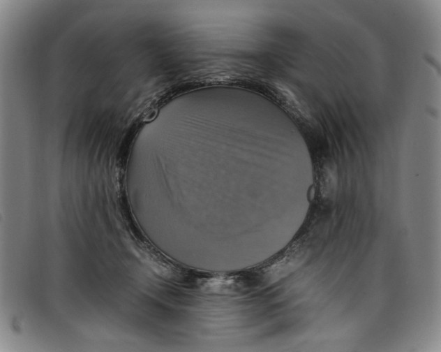 X0000097880366200804041619