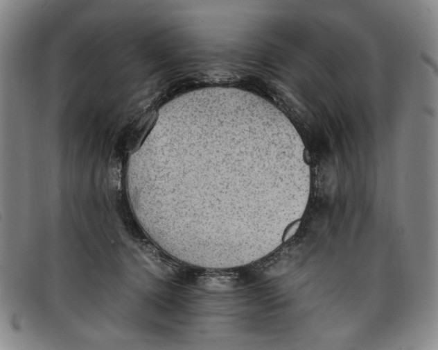 X0000097880368200804041619