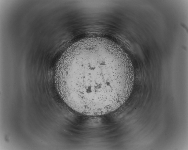 X0000097880369200804041619