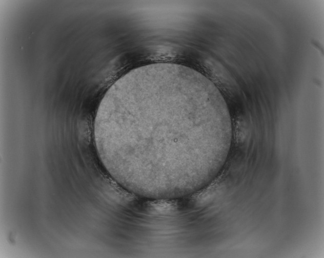 X0000097880370200804041619