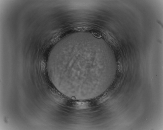 X0000097880371200804041619