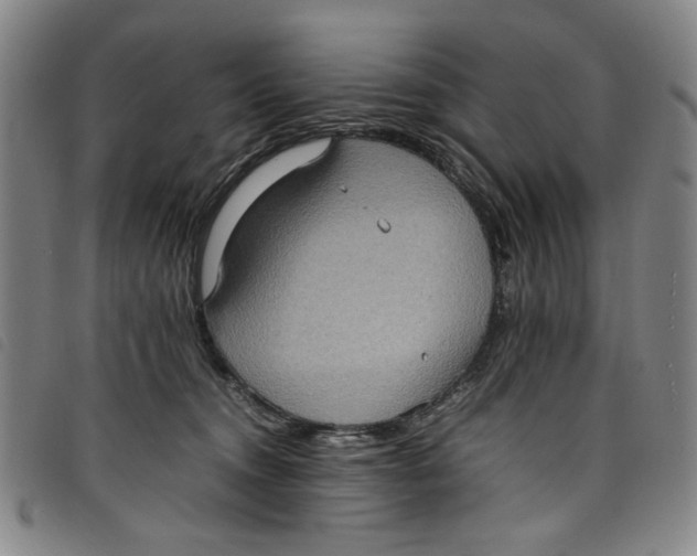 X0000097880372200804041619