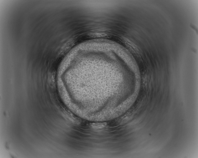 X0000097880373200804041619