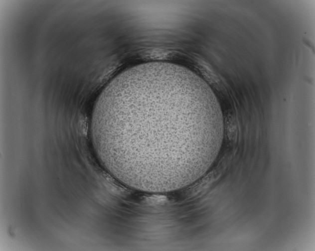 X0000097880374200804041619