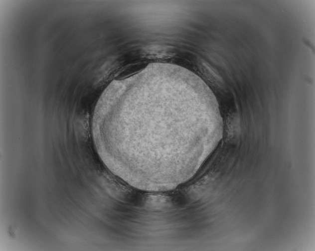 X0000097880376200804041619