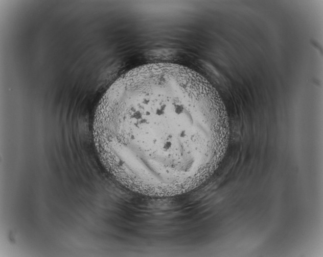 X0000097880377200804041619