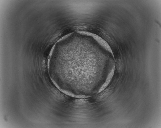 X0000097880378200804041619