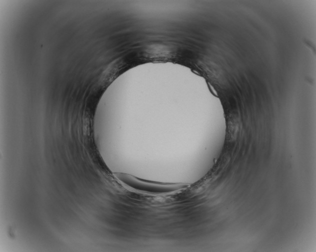 X0000097880379200804041619