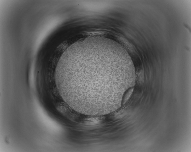 X0000097880381200804041619