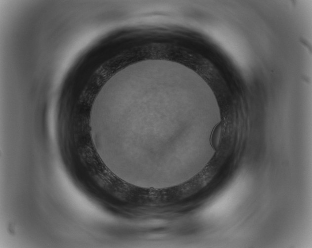 X0000097880383200804041619