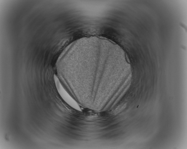 X0000097880384200804041619