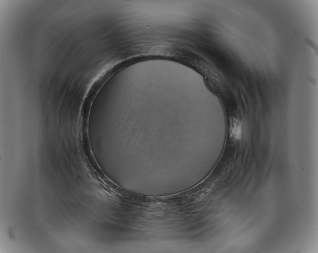 X0000097880388200804041619