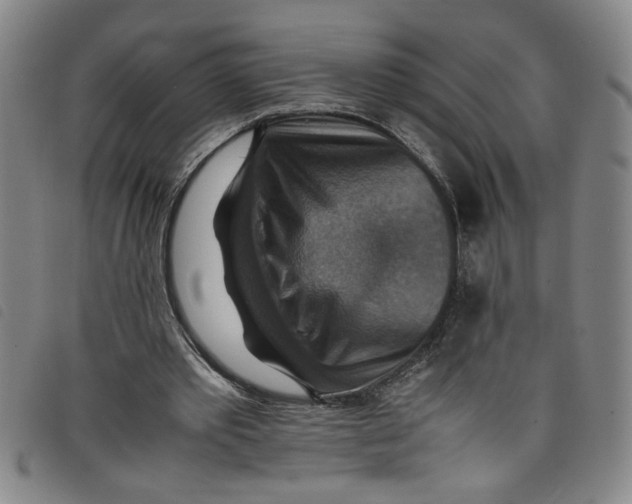 X0000097880389200804041619