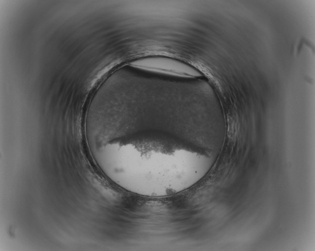 X0000097880390200804041619