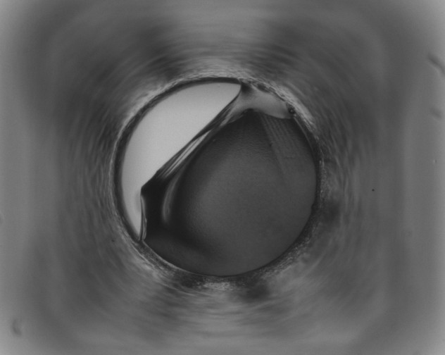 X0000097880391200804041619